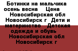 Ботинки на мальчика (осень-весна) › Цена ­ 250 - Новосибирская обл., Новосибирск г. Дети и материнство » Детская одежда и обувь   . Новосибирская обл.,Новосибирск г.